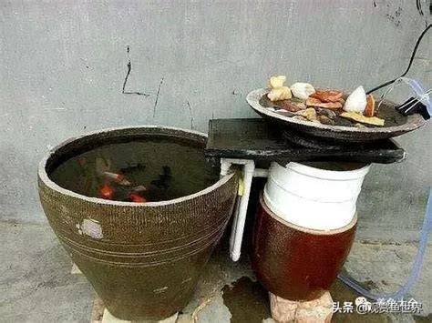 古法養魚|古代沒有養魚器械，又是怎麼養魚的？/觀賞魚世界（。